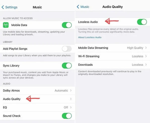 How To Enable Dolby Atmos Music With Lossless Audio In Apple Music - enable lossless audio on iPhone or ipad