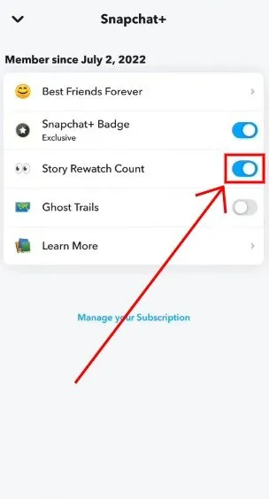 How Does Snapchat Order Story Views - story rewatch count on off
