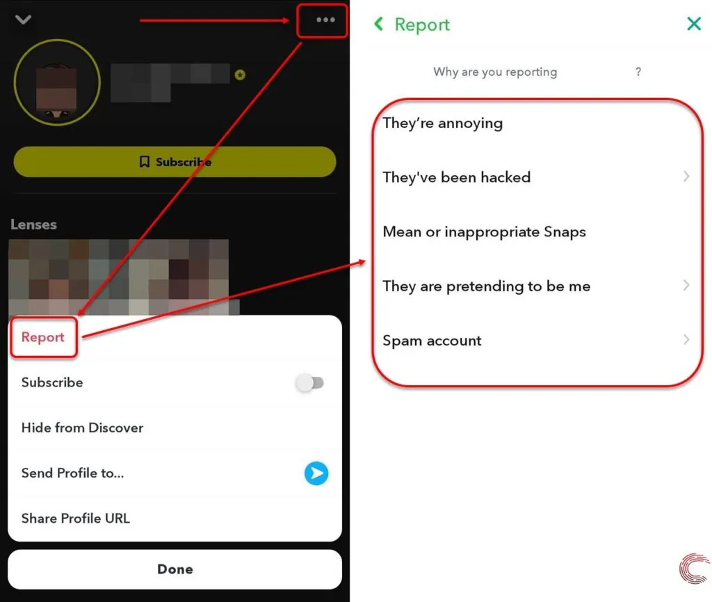 how to know if a snapchat account is a bot - report profile