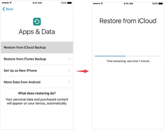 recover deleted messages from instagram iCloud