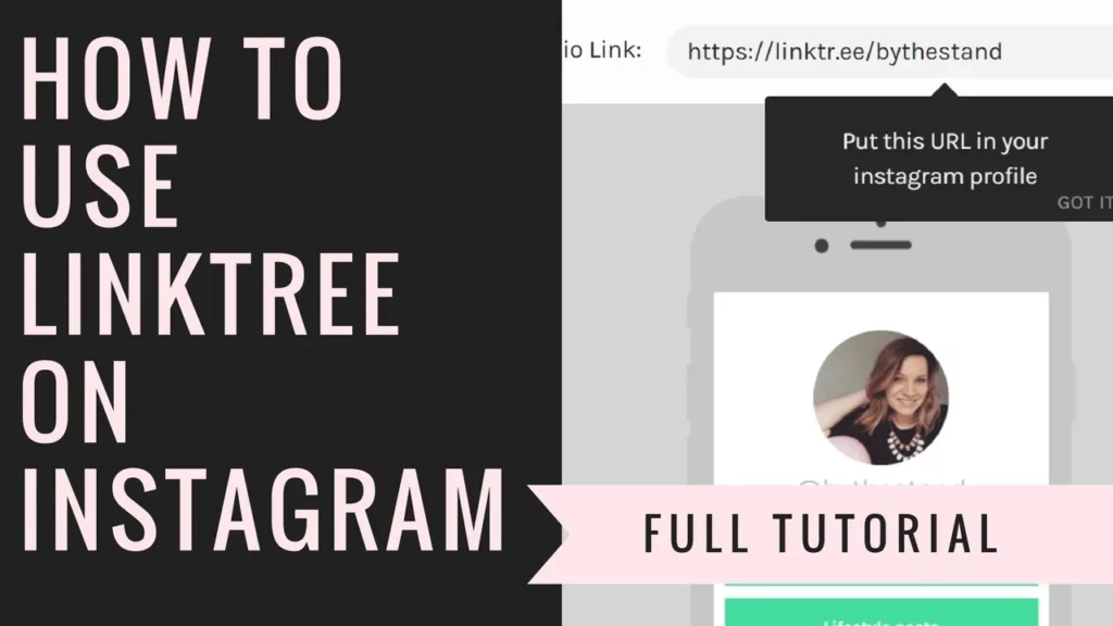 How To Add LinkTree To Instagram |