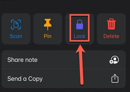 How To Lock A Note On iPhone 11 - lock Icon