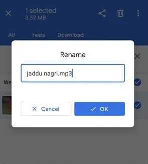 How To Download Reel Audio - change extension mp4