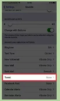 How To Change Alert Sound On Twitter App On Your iPhone