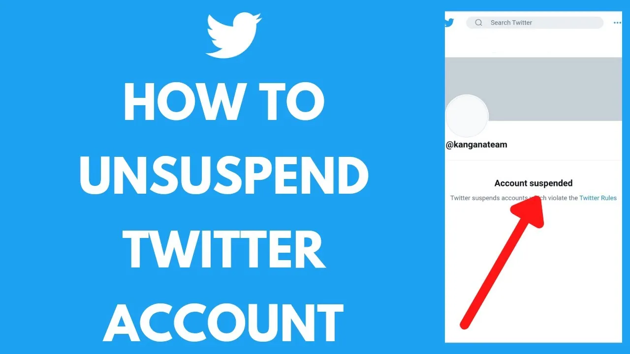 How To Recover Suspended Twitter Account