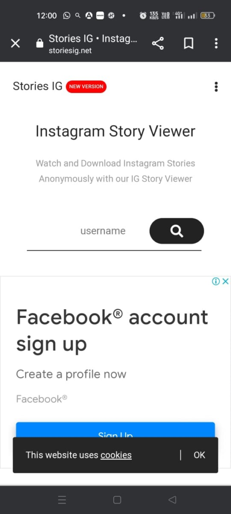 View Instagram Stories Without An Account