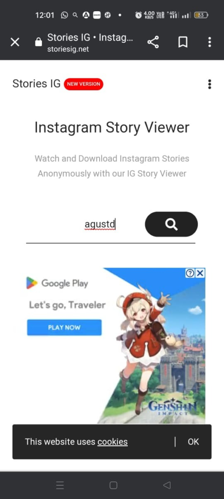 View Instagram Stories Without An Account