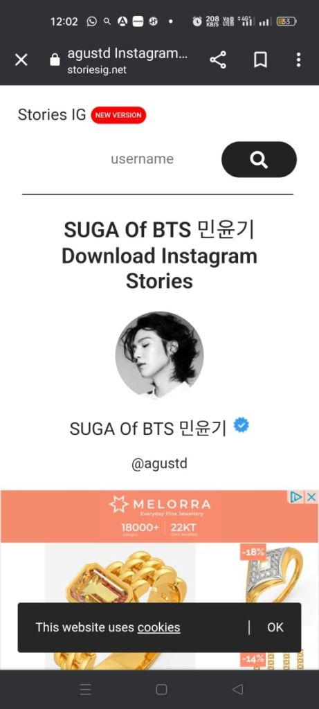 View Instagram Stories Without An Account