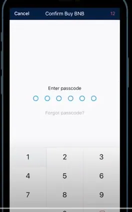 How To Buy Safemoon On Crypto.Com - enter passcode