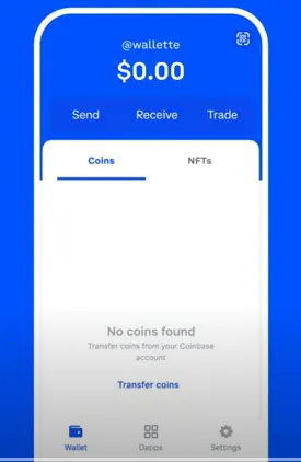 How To Transfer Crypto From Coinbase To Coinbase Wallet - enter amount in crypto wallet