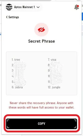 How To Find Secret Recovery Phrase And Private Key In Petra Aptos Wallet