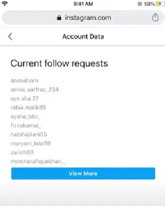 How to cancel all sent follow requests on Instagram - view