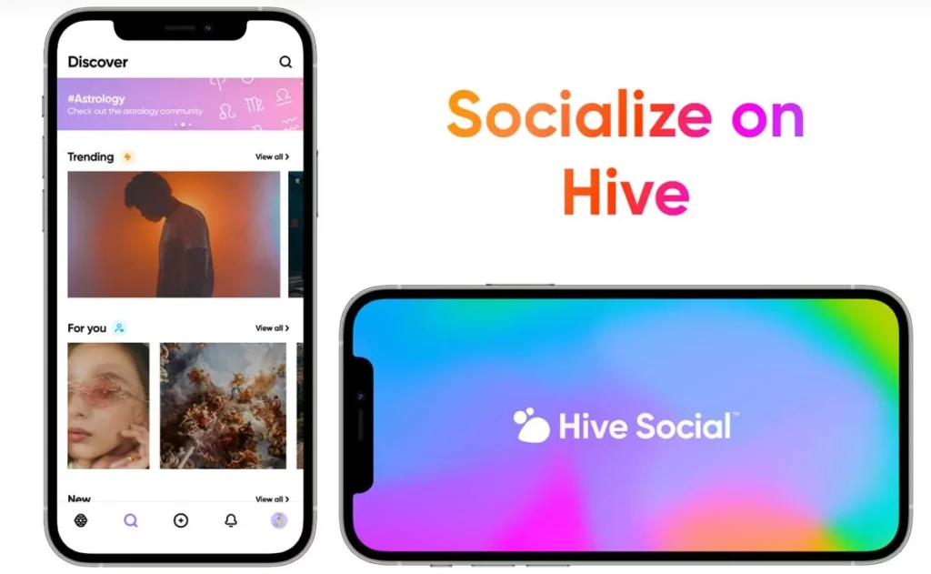 How To Login Hive Social Media?
