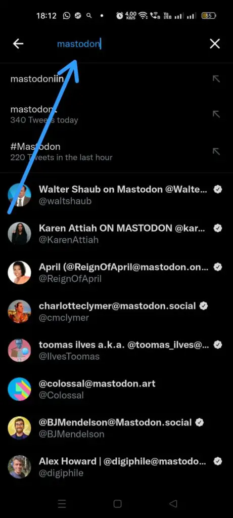 How To Find Your Twitter Friends On Mastodon? - mastodon