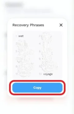 How To Find Secret Recovery Phrase And Private Key In Suiet Wallet - copy phrase
