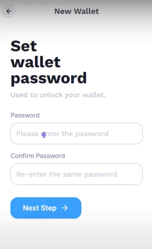How To Create And Set Up Suiet Wallet - set password
