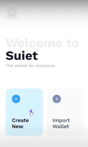 How To Create And Set Up Suiet Wallet - create new