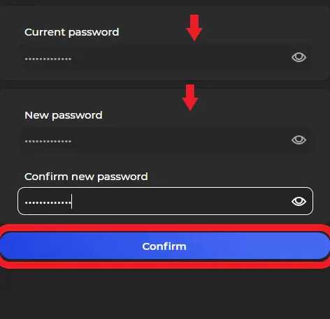 How To Change Or Reset XDEFI Wallet Password - new password