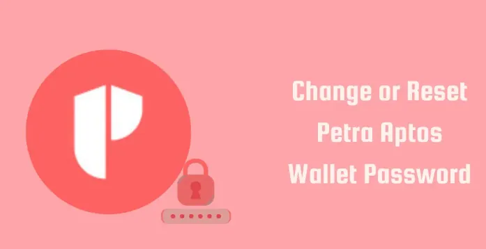 How To Change Or Reset Petra Aptos Wallet Password