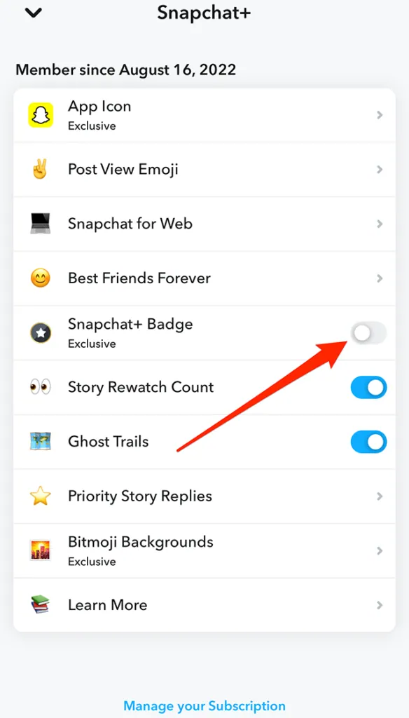 How To Tell If Someone Has Snapchat Premium: Hide Snapchat Plus Badge