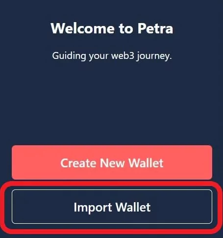 How To Change Or Reset Petra Aptos Wallet Password - import wallet