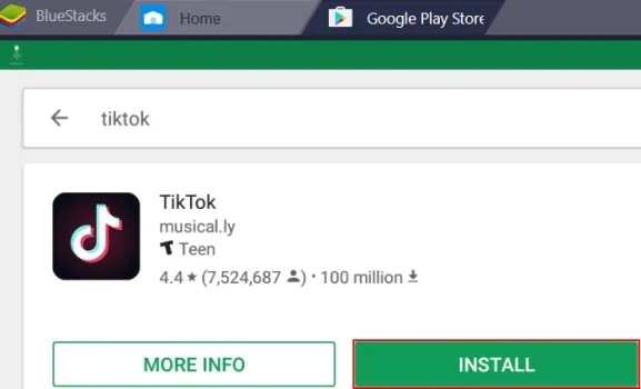 Reinstall The TikTok App On Your Device
