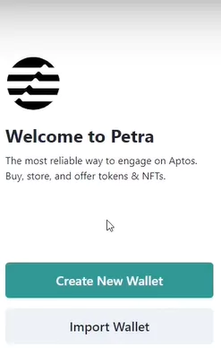 How To Create And Set Up Petra Aptos Wallet - create wallet