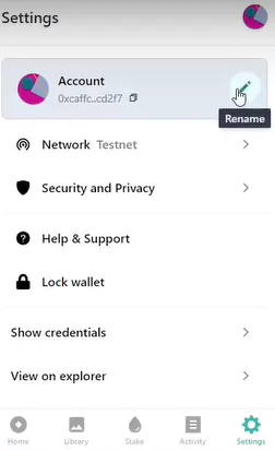 How To Create And Set Up Petra Aptos Wallet - settings