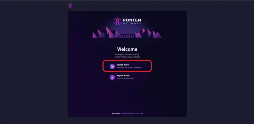 How To Create And Set Up Pontem Wallet