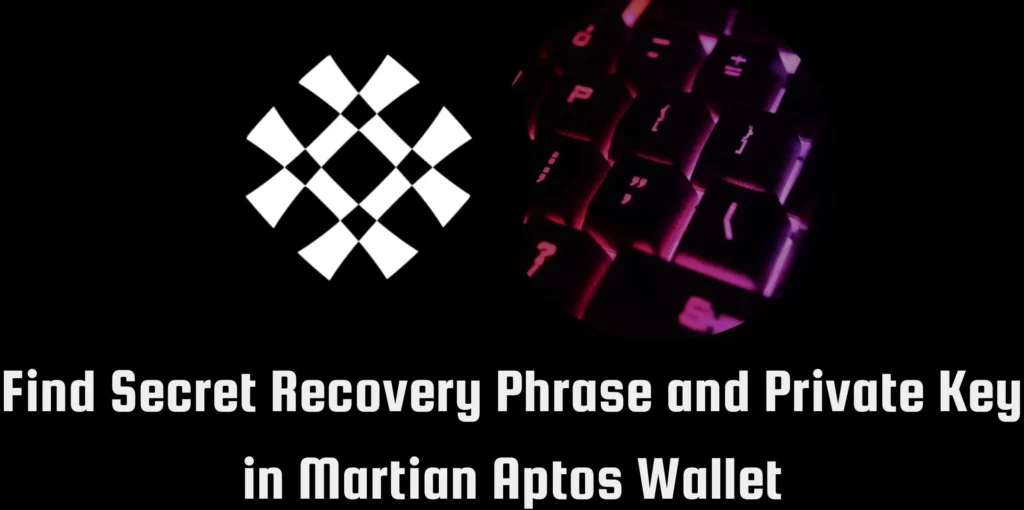 How To Find Secret Recovery Phrase And Private Key In Martian Aptos Wallet