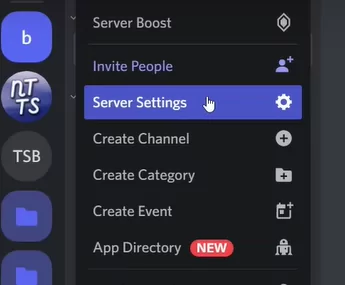 How To Get Active Developer Badge Discord  - server settings