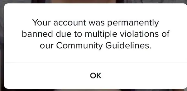 Why Do TikTok Accounts Get Banned?