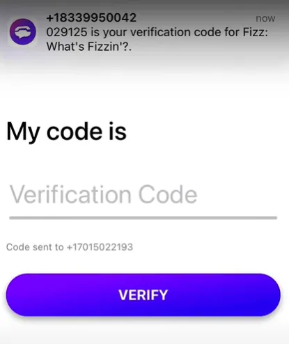 How To Link My Instagram To Fizz Social - verification code