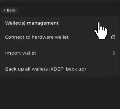 How To Change Or Reset XDEFI Wallet Password - wallet management