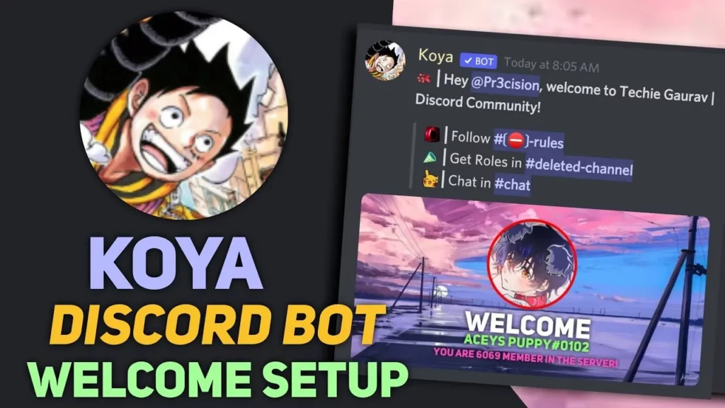 How To Use Koya Bot Discord