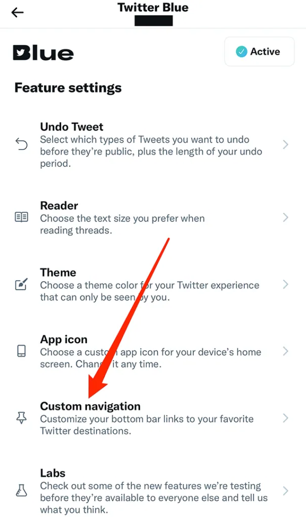 How To Customize Navigation In Twitter Blue? custom navigation