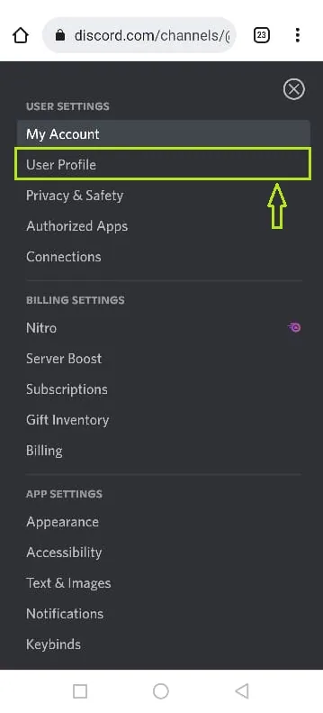 How To Fix My Discord PFP Blurry On Mobile