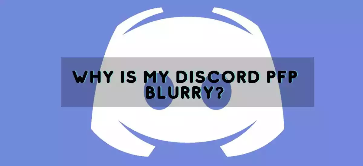 Why Is My Discord PFP Blurry