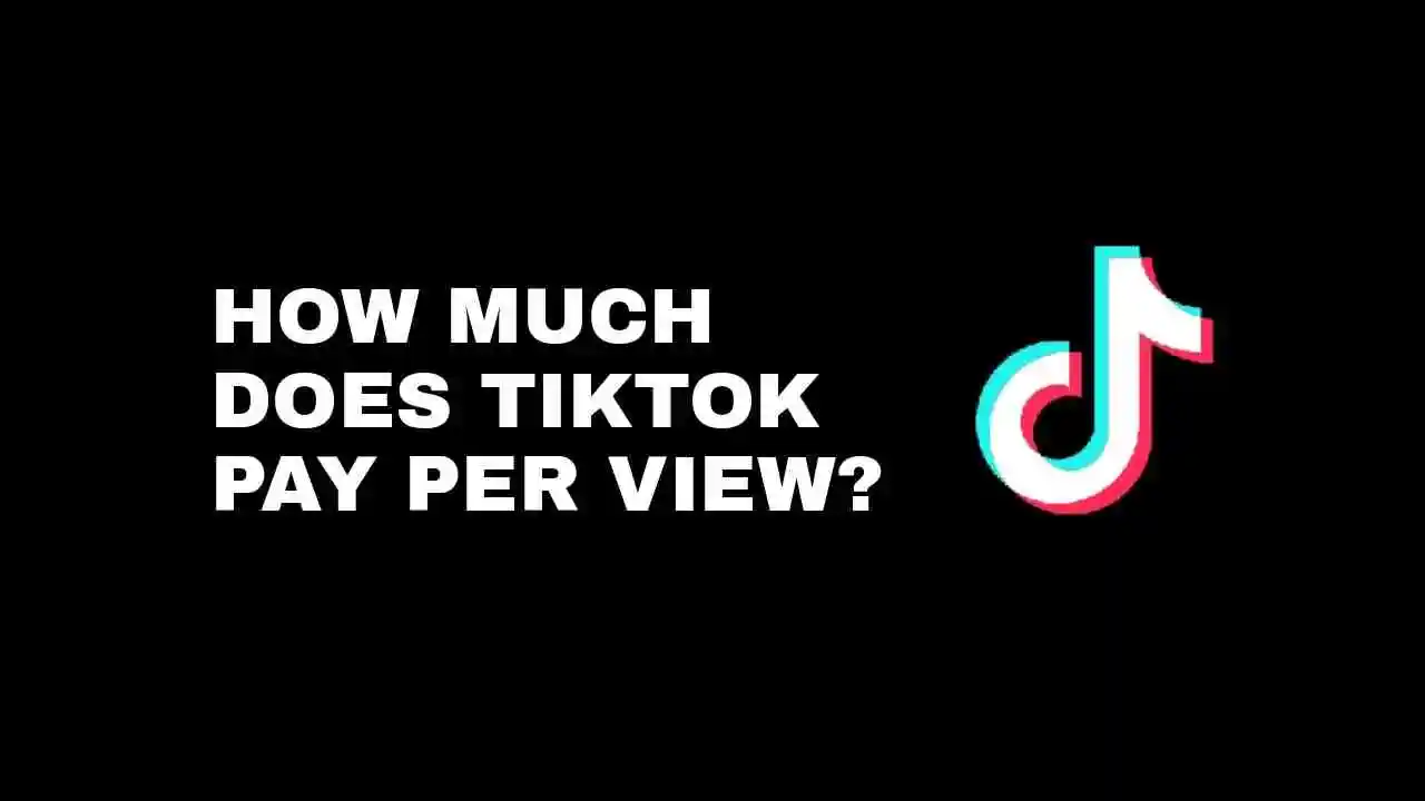 How Much Does TikTok Pay Per View | Know All The Details