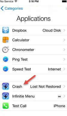Bypass iPhone DNS - crash app