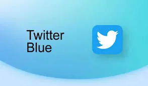 How To Clean Media Storage In Twitter Blue?