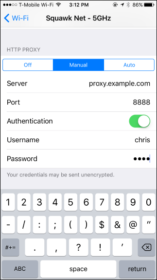 Bypass iPhone DNS - manual