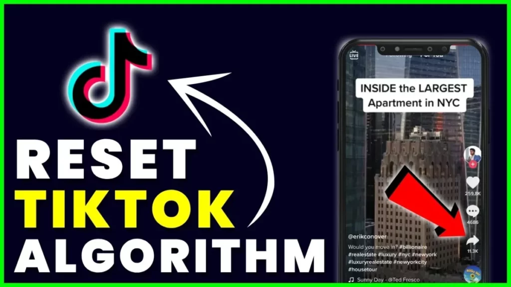 How To Reset TikTok Algorithm