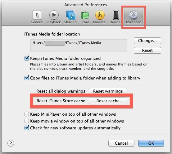 Fix Apple ID Password Not Working On iPhone/iPad - clear itunes cache