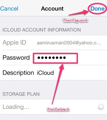 How To Remove iCloud Account Without Password - enter password