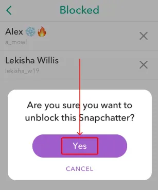 How Do You Unblock Someone On Snapchat Without Them Knowing - confirmation
