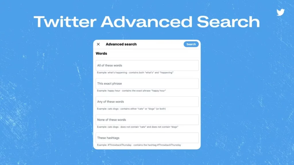 How To Search Twitter By Date
