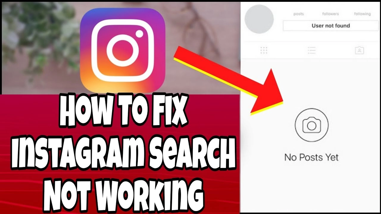 How To Fix Instagram Search Not Working