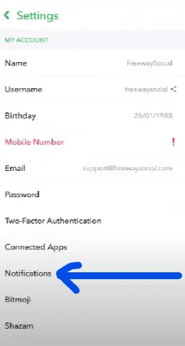 How To Fix Snapchat Call Not Ringing? Notification