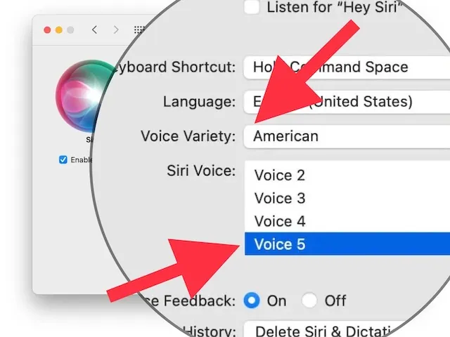 How To Enable Siri Gender Neutral Voice